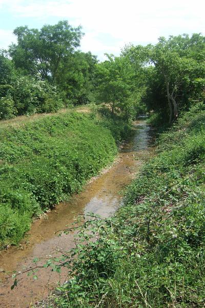 2011-05- (1320).JPG